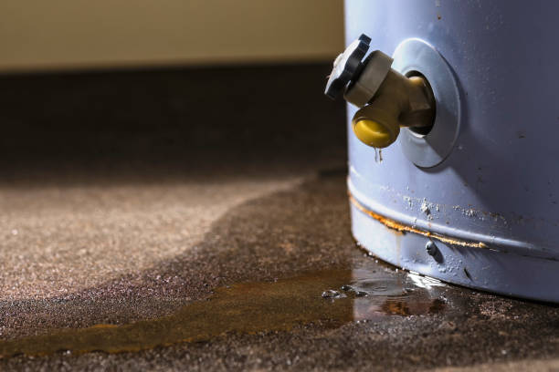 Best Basement water damage restoration  in Dublin, CA