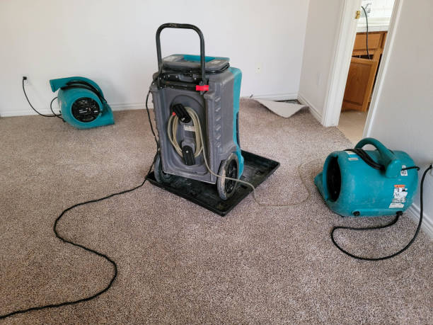 Best Water damage restoration near me  in Dublin, CA