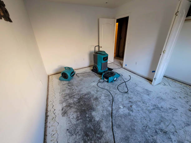  Dublin, CA Water damage restoration Pros