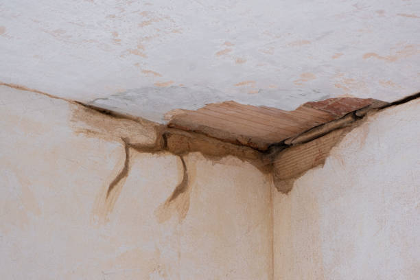 Best Water damage mitigation services  in Dublin, CA