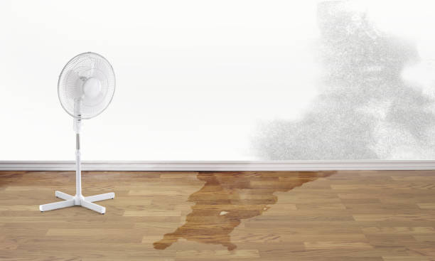 Best Flood damage cleanup  in Dublin, CA