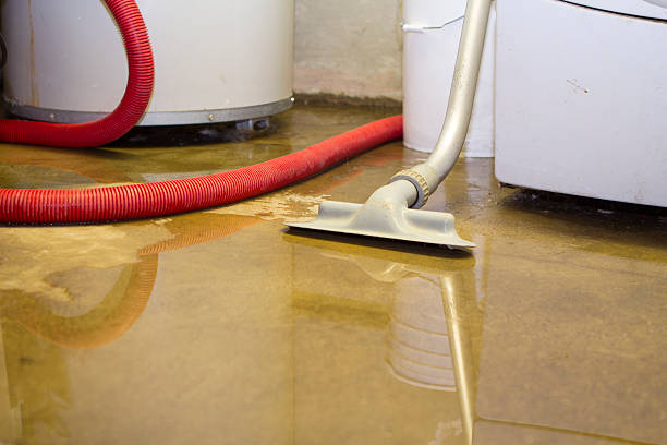 Best Water damage contractors near me  in Dublin, CA