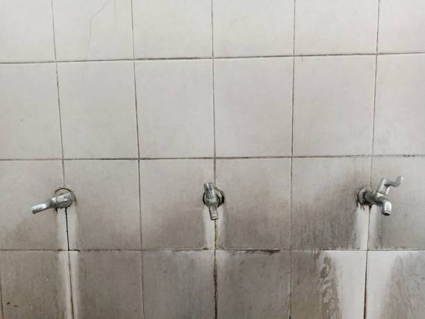 Best Flooded house restoration  in Dublin, CA
