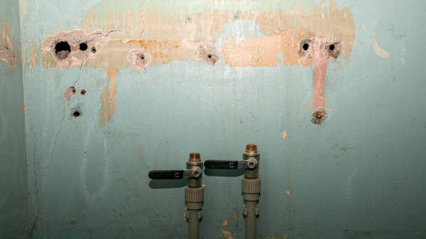 Best Sewage cleanup and water damage restoration  in Dublin, CA